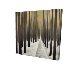 Hiking in the forest - 32x32 Print on canvas